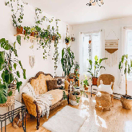 home and garden